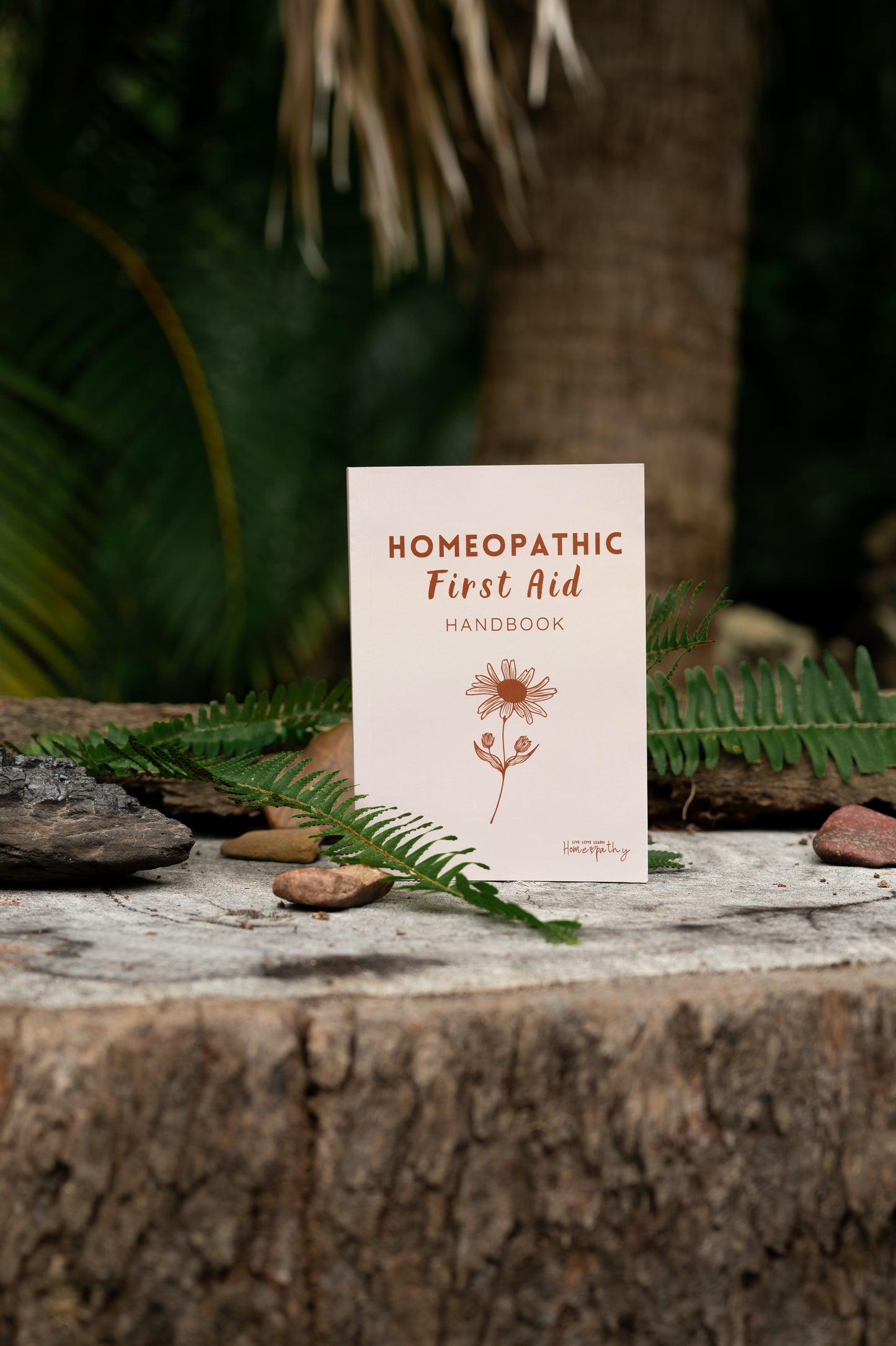 Homeopathic First Aid Kit